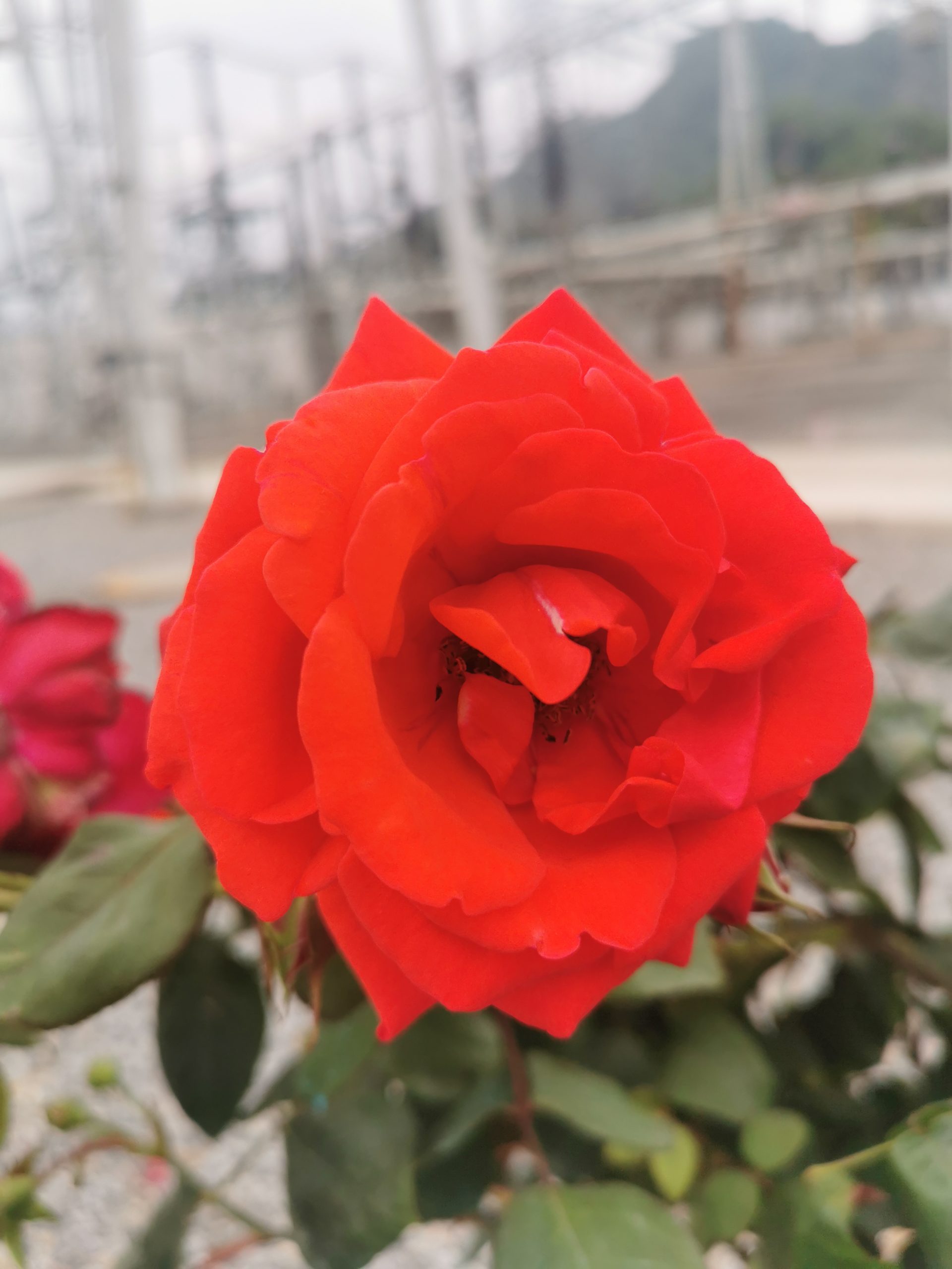 至您的一封信-霸服网-游戏论坛-破解版游戏无限内购(内置功能菜单)